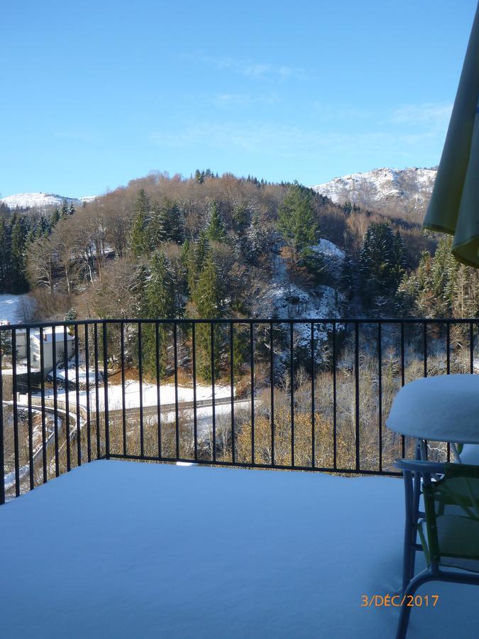 Logis Hotel Les Tilleuls Saint-Cirgues-de-Jordanne Buitenkant foto